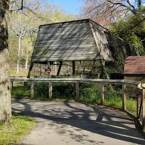 Cohanzick Zoo - Serval