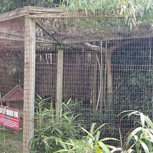 Cohanzick Zoo - Great horned owl