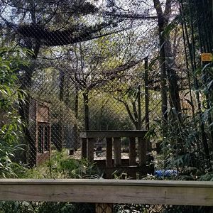 Cohanzick Zoo - Leopard