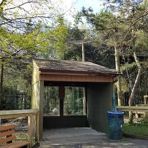 Cohanzick Zoo - Leopard