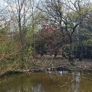 Cohanzick Zoo - Cougar from across the pond
