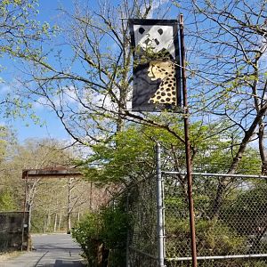 Cohanzick Zoo - GIant panda and cheetah banner