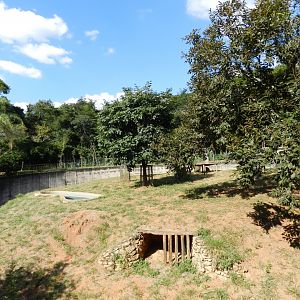 Second lion exhibit - Belo Horizonte zoo