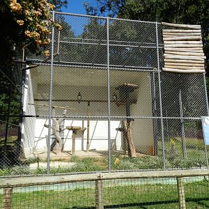 Harpy eagle exhibit - Belo Horizonte zoo