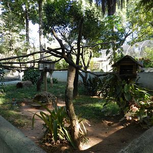 Mixed south-american mammals exhibit - Belo Horizonte zoo