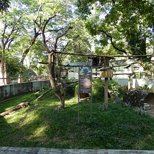 Brazilian porcupine exhibit - Belo Horizonte zoo