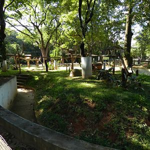 Lesser anteater and brazilian porcupine exhibit - Belo Horizonte zoo
