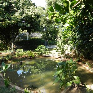 Freshwater turtles exhibit - Belo Horizonte zoo