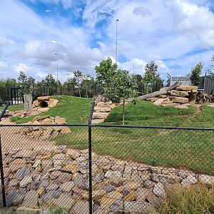 Dingo enclosure