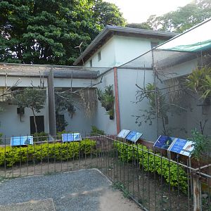 Example of passerine exhibits - Belo Horizonte zoo