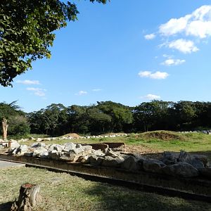 African elephant exhibit - Belo Horizonte zoo
