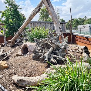 Lace monitor enclosure