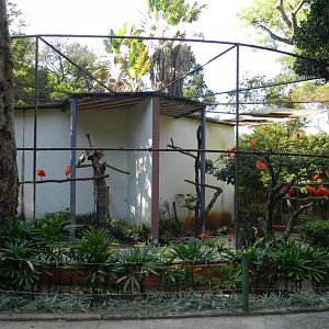 Ibis/heron exhibit - Belo Horizonte zoo