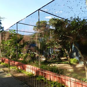 Large aviary - Belo Horizonte zoo