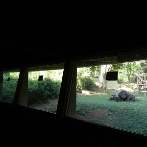 Gorilla indoor viewing windows - Belo Horizonte zoo