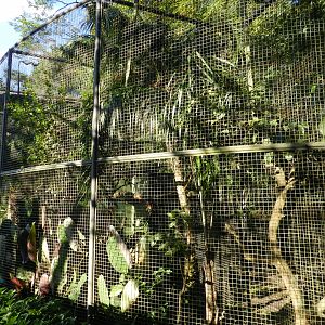 Emperor tamarin exhibit - Belo Horizonte zoo