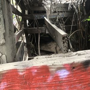 Aviary? Small Mammal exhibit?