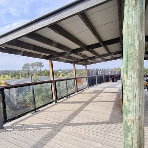 Misting shade shelters