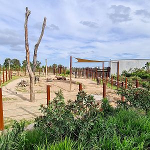 Asian elephant enclosure