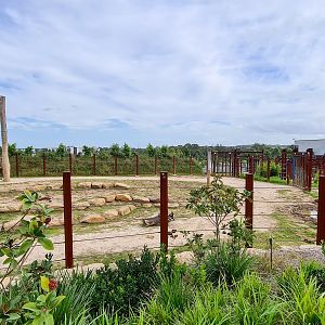 Asian elephant enclosure