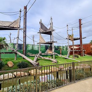 Sumatran orangutan enclosure