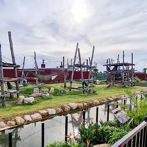 Chimpanzee enclosure