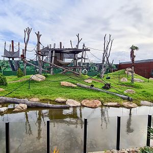 Tufted capuchin enclosure