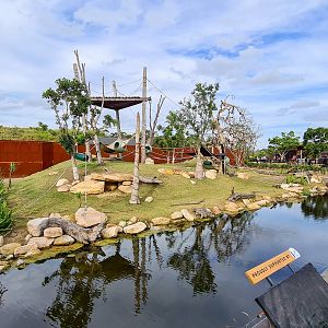 Spider monkey / Capybara enclosure - not in use