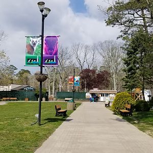 Cape May - Path from parking to entrance