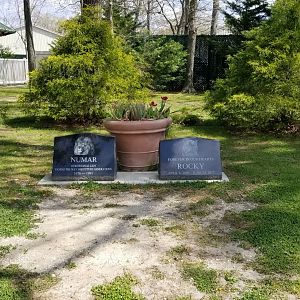 Cape May - Graves for lion "Numbar" and tiger "Rocky"