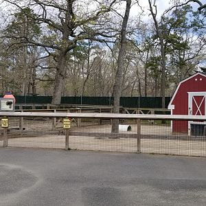 Cape May - Pot-bellied pig exhibit