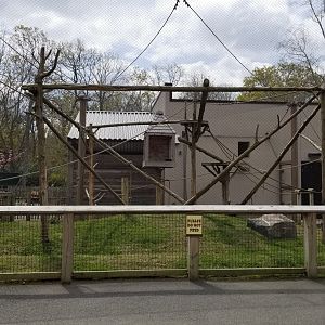 Cape May - Black Howlers