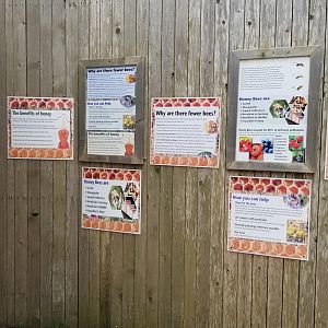 Cape May - Bee signage