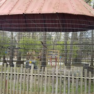 Cape May - Empty corn crib cage