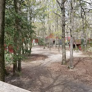 Cape May - Right end of llama/alpaca