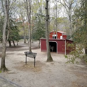 Cape May - Llama/alpaca