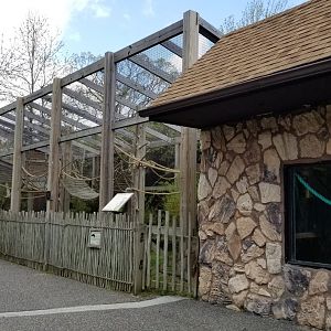 Cape May - Emperor tamarin