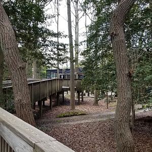 Cape May - Boardwalk to savanna