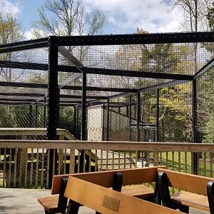 Cape May - Amur Leopard, benches and new exhibit