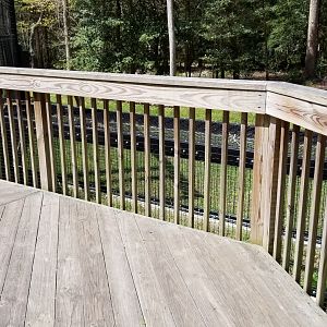 Cape May - Shute connecting two leopard exhibits