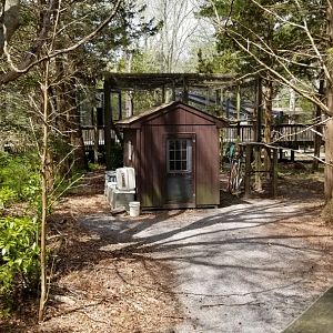 Cape May - Back of Red Panda