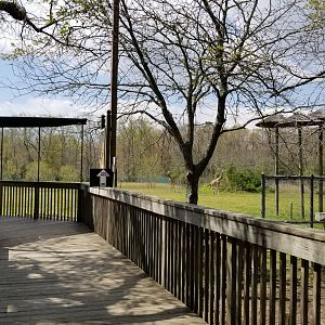 Cape May - Boardwalk to giraffes