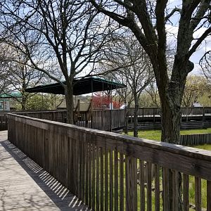 Cape May - Boardwalk to zebras