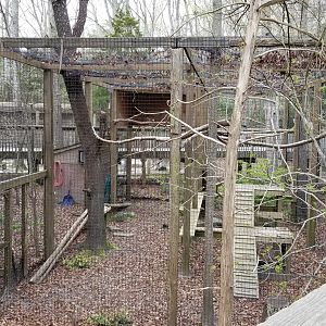 Cape May - Empty exhibit