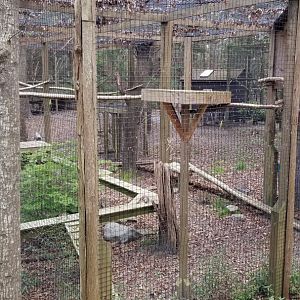 Cape May - Empty exhibit