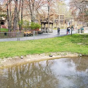 Cape May - Capybara exhibit