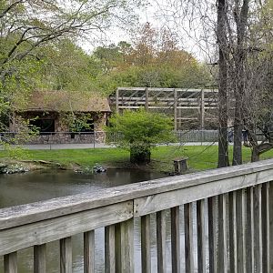 Cape May - Cotton-top Tamarin exhibit from capybara boardwalk
