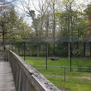 Cape May - Empty exhibit