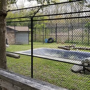 Cape May - Empty exhibit