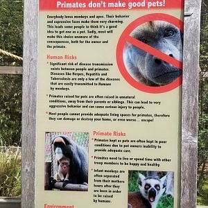 Cape May - Primates as pets sign